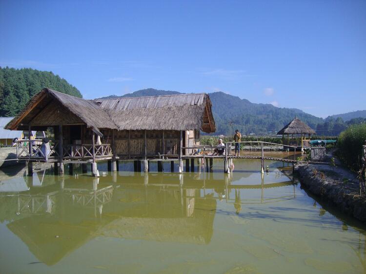 Mother's Home, Ziro